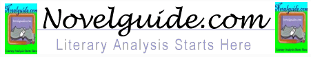 Novel Guide provides study guides for literature.