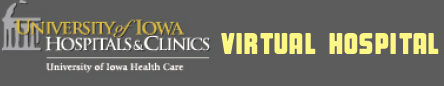 The University of Iowa Virtual Hospital provides information related to health topics from A to Z, by category, and patient education materials.