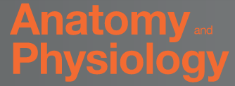 Rice University provides this free online Anatomy and Physiology from OpenStax.