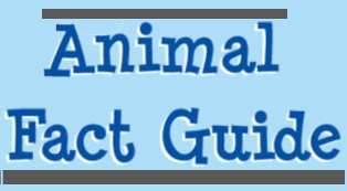 mammals, bird, reptiles, amphibians, fish, invertebrates