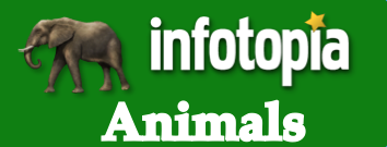 Explore Infotopia resources on animals.