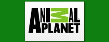 Animal Planet includes articles and videos about all kinds of animals and is searchable.
