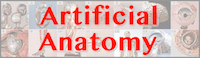 This site has images of papier-mache models of the human body, as well as images of veterinary models, and botanical models