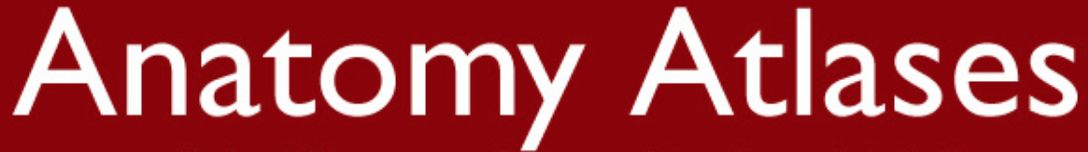 Anatomy Atlases includes several atlases of the human body, including a microscope anatomy.