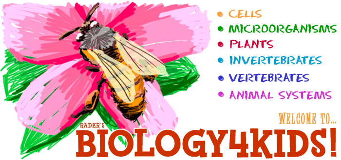 Biology 4 Kids has all kinds of links to information about cells, microorganisms, plants, animals, and animal systems.