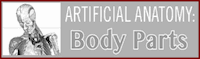 Test your knowledge of human anatomy by playing this interactive game.
