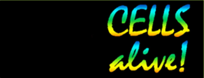 celluar animations,videos,puzzles,quizzes,microbes,immune system. Explore the cellular glossary, 