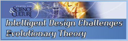 intelligent design evolutionary theory theistic evolutionists