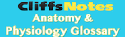 Definitions of important terms in anatomy
