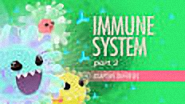 Explore the way your body keeps all that complex, intricate stuff alive and healthy. The immune system`s responses include physical barriers like skin and mucous membranes, phagocytes -- the neutrophils and macrophages. It also features the awesomely named natural killer cells and the inflammatory response, and we'll explain how all of these elements work together to save the day if you happen to slip on a banana peel.
