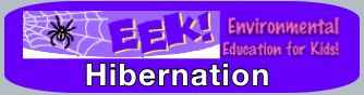 hibernation