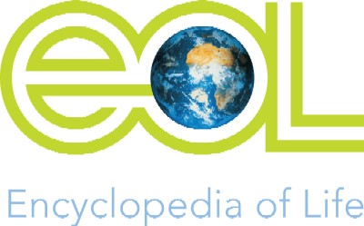 The Encyclopedia of Life is an amazing resources about life on earth.