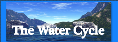From the EPA, this site has a flash interactive demonstration of the water cycle.