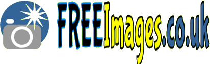 images,Food,Cooking,Space,Planets,Stars,Sports,Health,Leisure, Nature,Objects,Technology,Transportation