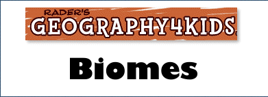 From Geography4Kids, this site includes 360 degree panoramas of various types of biomes, plus information on each biome.