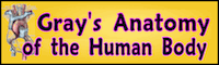 The Bartleby.com edition of Gray`s Anatomy of the Human Body features 1,247 vibrant engravings, many in color, as well as a subject index with 13,000 entries.