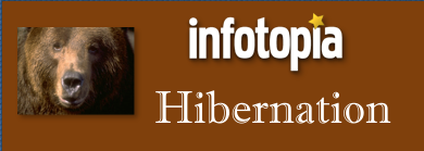 Learn about hibernation with Infotopia.