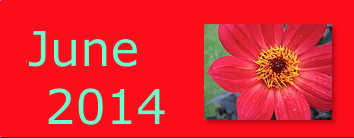 June 2014 Infotopia Newsletter