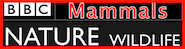 Mammals are a class of vertebrates characterised by warm-blood, hairy bodies, a four-chambered heart, a single jaw bone, sweat glands and - in females - mammary glands for suckling young.
