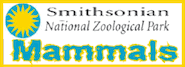 About 2,000 animals from 400 different species reside at the National Zoo in Washington, D.C.  Our best known residents are our giant pandas, but the Zoo is also home to great apes, big cats, Asian elephants, birds, amphibians, reptiles, insects, aquatic animals, small mammals, and many more!