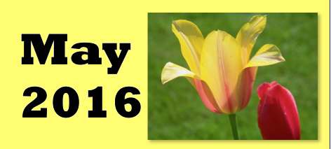 May 2016 Infotopia Newsletter