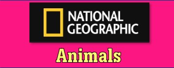 National Geographic includes animal facts, photos, videos, and information about animal conservation.  They do require users to register, but it is free.