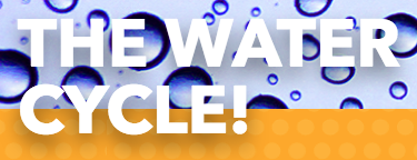 National Geographic Kids presents the Water Cycle.