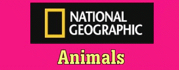 National Geographic includes animal facts, photos, videos, and information about animal conservation.  They do require users to register, but it is free.