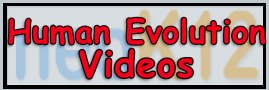 human evolution videos