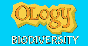 biodiversity,genes,ecosystems