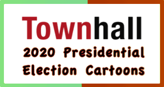 2020 political cartoons